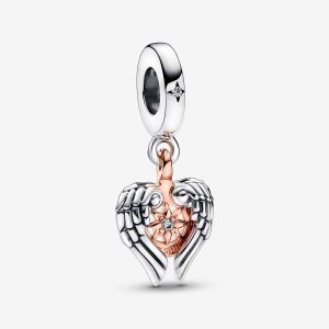Colgar Pandora Celestial Compass Angel Wings Two-tone | BACQHS649