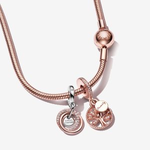Encantos Pandora Family Circle Multicolor | BKJSPT832