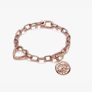 Enlace Pandora ME Rays of Life Multicolor | WLOBDF853